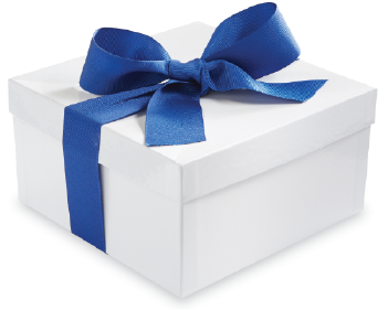 White Gift Box with Ribbon