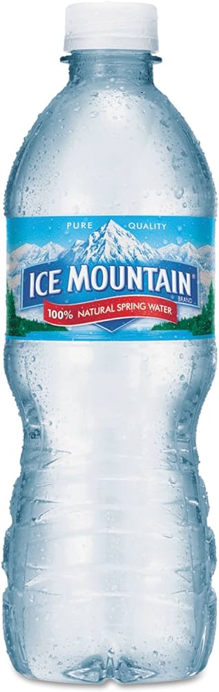 Ice Mountain Spring Water 16.9oz 1ea