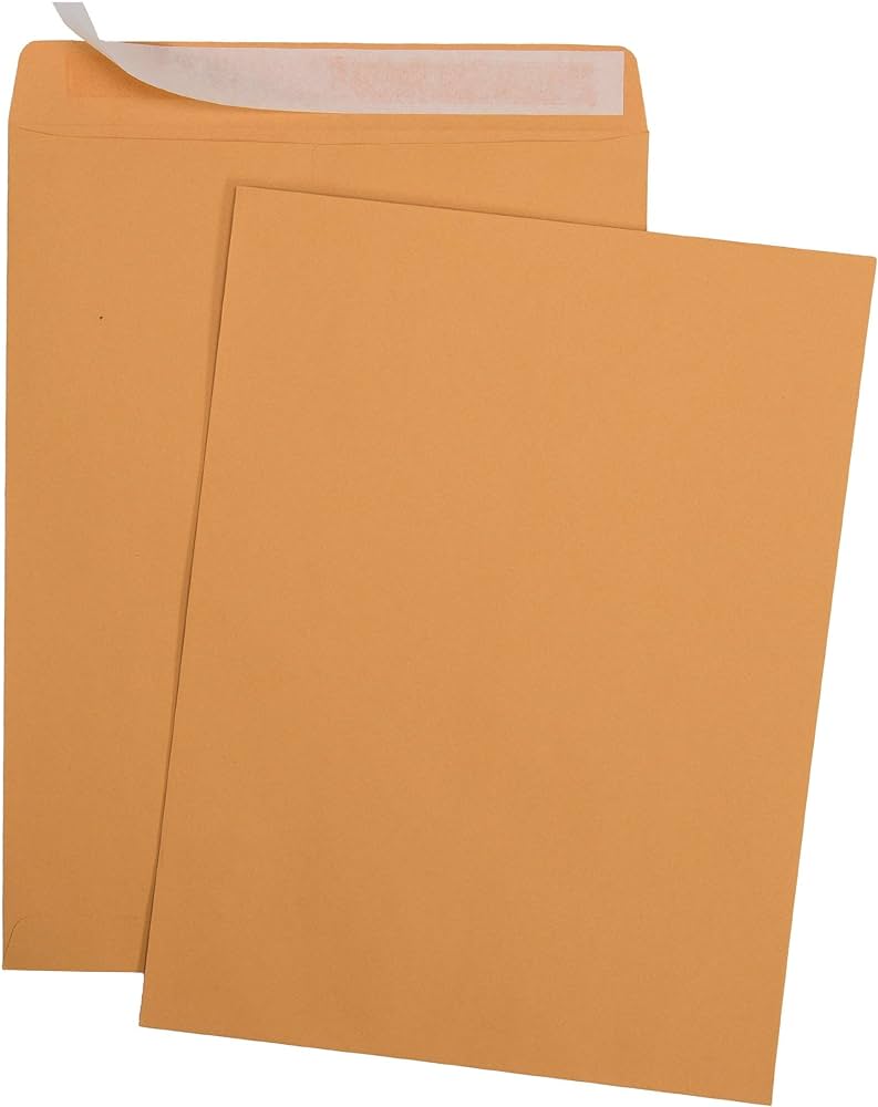 Envelopes Self Seal Brown Kraft Catalog 6"x9" 100ct