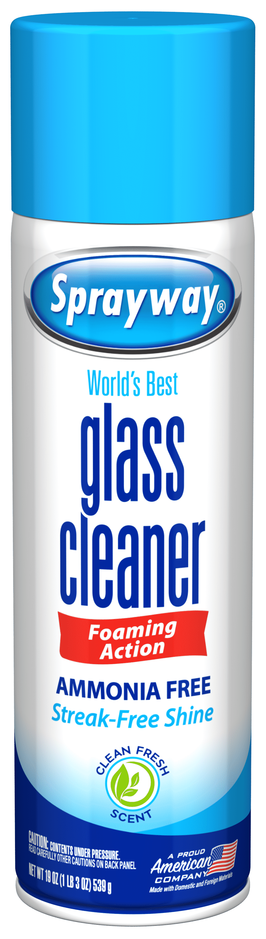 Sprayway Glass Cleaner 19oz