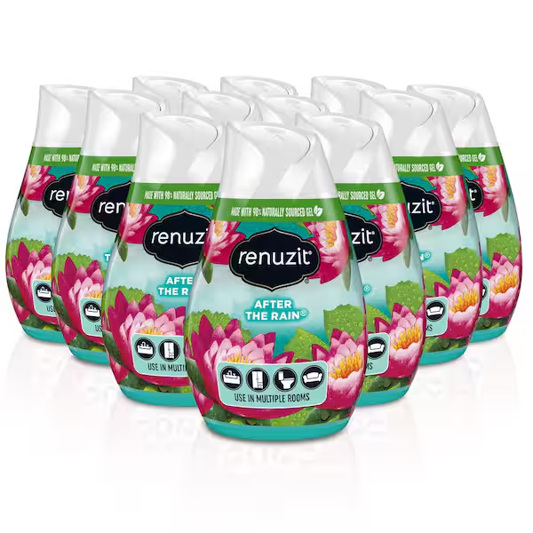 Renuzit Gel Air Freshener After the Rain 12pk